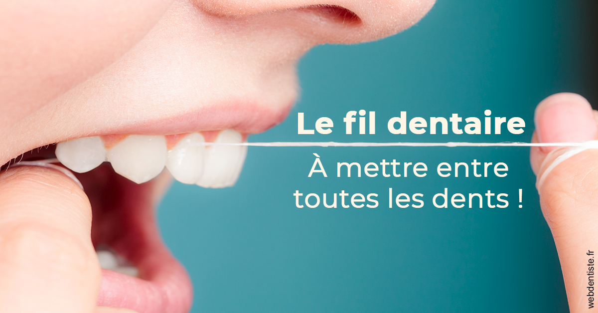 https://selarl-olivier-demonceaux.chirurgiens-dentistes.fr/Le fil dentaire 2